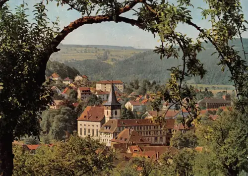 Bad König i. Odw. Panorama gl1968 191.753