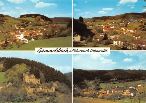 Gammelsbach Mehrbildkarte gl1982 191.777