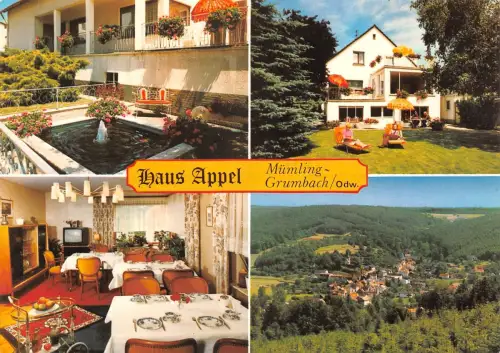 Höchst i. Odw. Mümling-Grumbach Haus Appel ngl 191.789