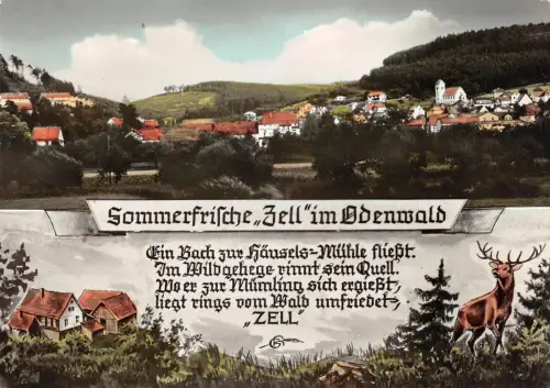 Zell i. Odw. Mehrbildkarte gl1971 191.781