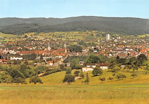 Michelstadt i. Odw. Panorama ngl 191.816