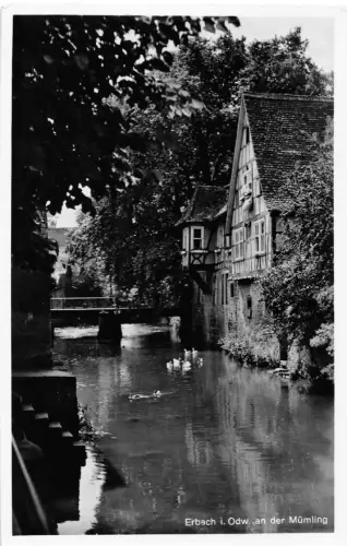 Erbach i. Odw. an der Mümling ngl 191.823