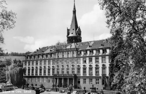 Erbach i. Odw. Schloss ngl 191.826