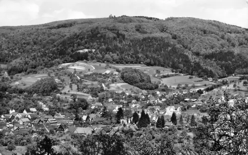 Reichenbach i. Odw. Panorama gl1965 191.841