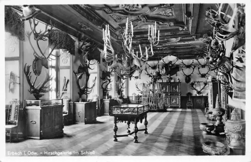Erbach i. Odw. Schloß Hirschgalerie gl1955 191.838