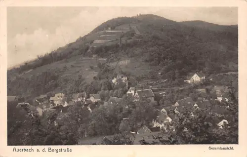 Auerbach a.d. Bergstraße Panorama gl1925 191.871