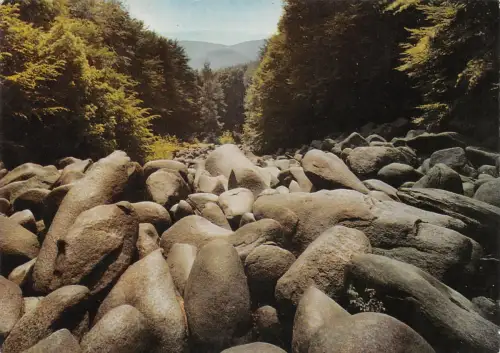 Felsberg i.Odw. Felsenmeer ngl 191.859