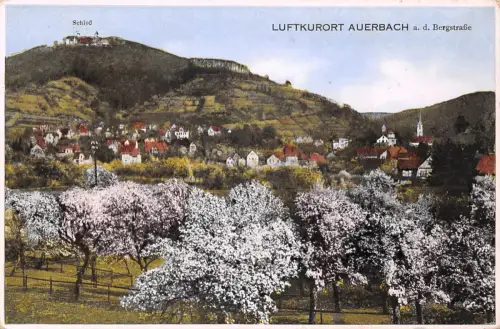 Auerbach (Bergstraße) Panorama gl1928 191.874