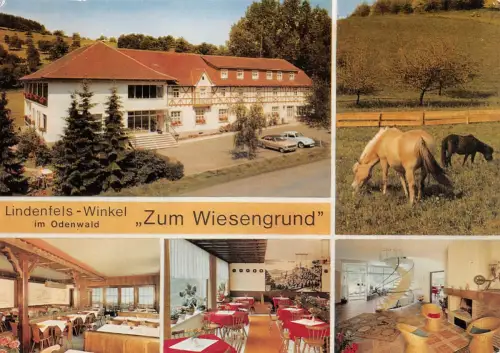 Lindenfels-Winkel Mehrbildkarte Zum Wiesengrund ngl 191.956