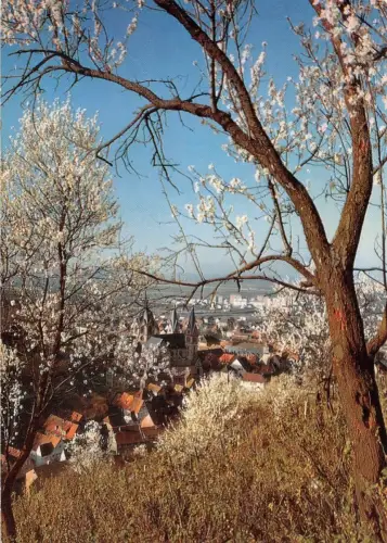 Heppenheim a.d.B. Panorama gl1977 191.966