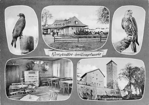 Heppenheim a.d.B. Greifvogelwarte Mehrbildkarte gl1966 191.982