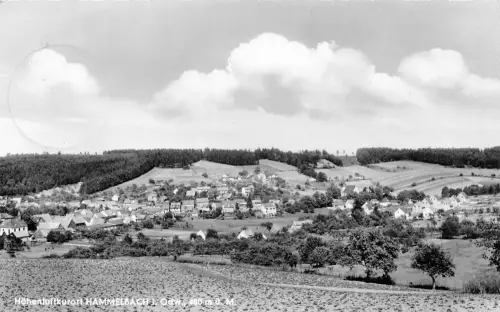 Hammelbach/Odw. Panorama gl 191.989
