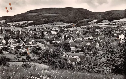 Fürth/Odw. Panorama gl1956 191.992