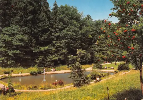 Gras-Ellenbach i. Odw. Hotel Gassbachtal Archivkarte Metz-Verlag ngl 191.999