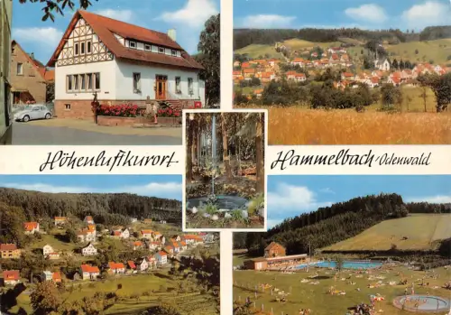 Hammelbach i. Odw. Mehrbildkarte ngl 192.015