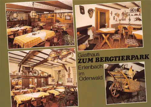 Erlenbach i. Odw. Mehrbildkarte ngl 192.019