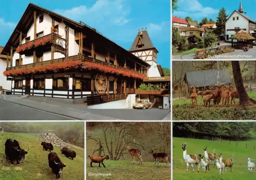 Erlenbach i. Odw. Mehrbildkarte ngl 192.021