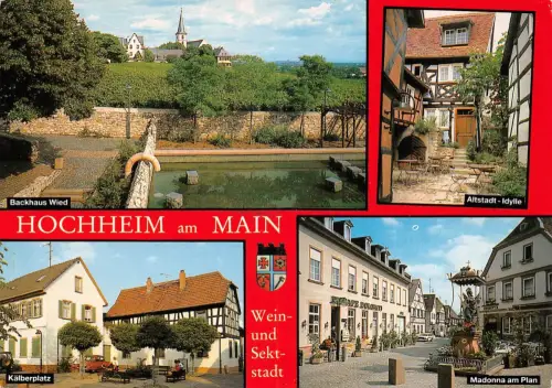 Hochheim/Main Mehrbildkarte gl 192.100
