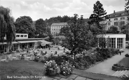 Bad Schwalbach i.T. Im Kurpark gl1965 192.118