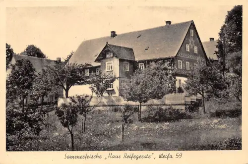 Weifa Haus Reifegerste ngl 192.301