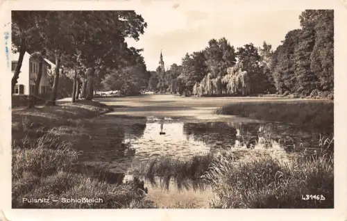 Pulsnitz Schlossteich gl1954 192.339