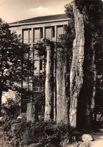 Karl-Marx-Stadt Versteinerter Wald gl1969 192.376