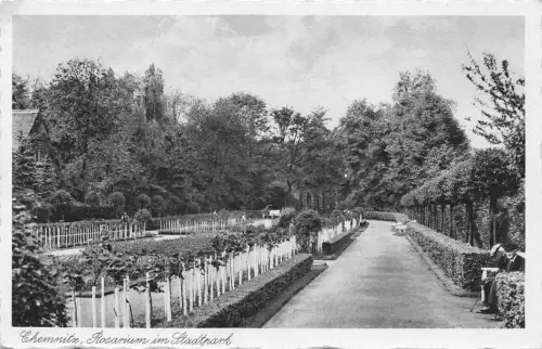 Chemnitz Rosarium Stadtpark ngl 192.528