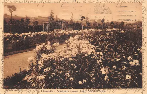 Chemnitz Stadtpark (neuer Teil) gl1915 192.526