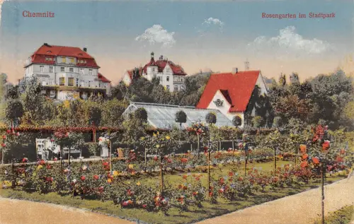 Chemnitz Rosarium Stadtpark feldpgl 192.533