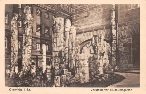 Chemnitz Versteinerter Museumsgarten ngl 192.517