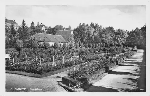 Chemnitz Rosarium Stadtpark ngl 192.532