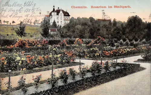 Chemnitz Rosarium Stadtpark feldpgl1916 192.527