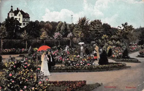 Chemnitz Rosarium Stadtpark feldpgl1915 192.531