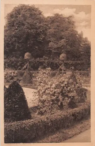 Chemnitz Rosarium Stadtpark gl1920 192.530