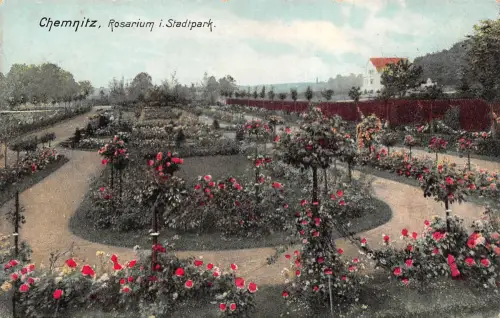 Chemnitz Rosarium Stadtpark ngl 192.529