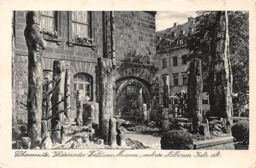 Chemnitz Versteinerter Wald ngl 192.516