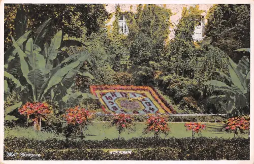 Zittau Blumenuhr ngl 192.731
