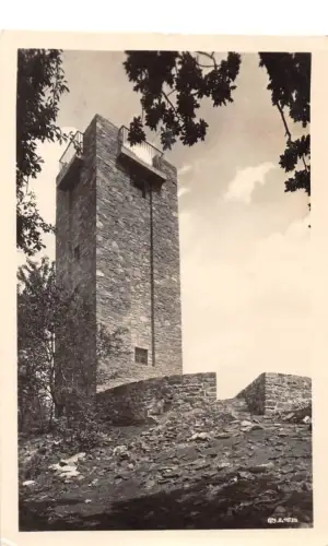 Hainewald Turm a. d. Breitenberg gl1958 192.772