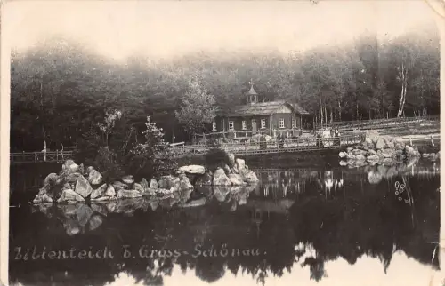 Großschönau Lilientech Fotokarte gl1933 192.780