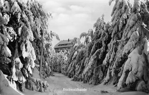 Oybin Hochwaldbaude gl1953 192.873