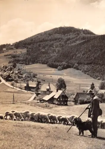 Waltersdorf a. d. Lausche Blick zur Lausche gl1970 192.933