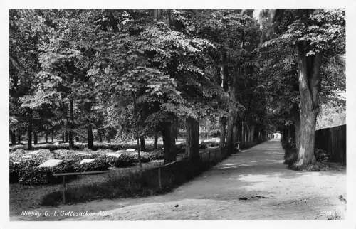 Niesky Gottesacker-Allee ngl 193.049