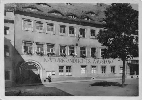 Freiberg (Sachsen) Naturkundliches Museum gl1968 193.173