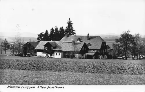 Nassau i. Erzgeb. Altes Forsthaus gl1964 193.250