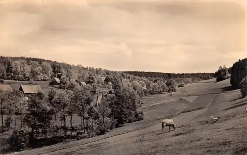Mulda Teilansicht gl 193.294