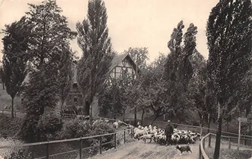 Dittersdorf Auf der Dorfstraße ngl 193.375