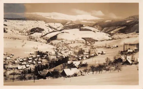 Rochlitz Panorama im Winter gl1940 193.461