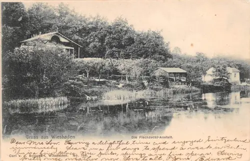 Wiesbaden Fischzucht-Anstalt gl1902 193.517