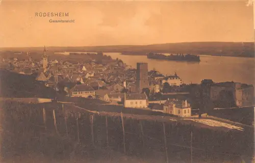 Rüdesheim a. Rhein Gesamtansicht ngl 193.774