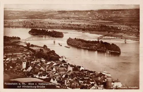 Rüdesheim a. Rhein aus dem Weinberg ngl 193.764